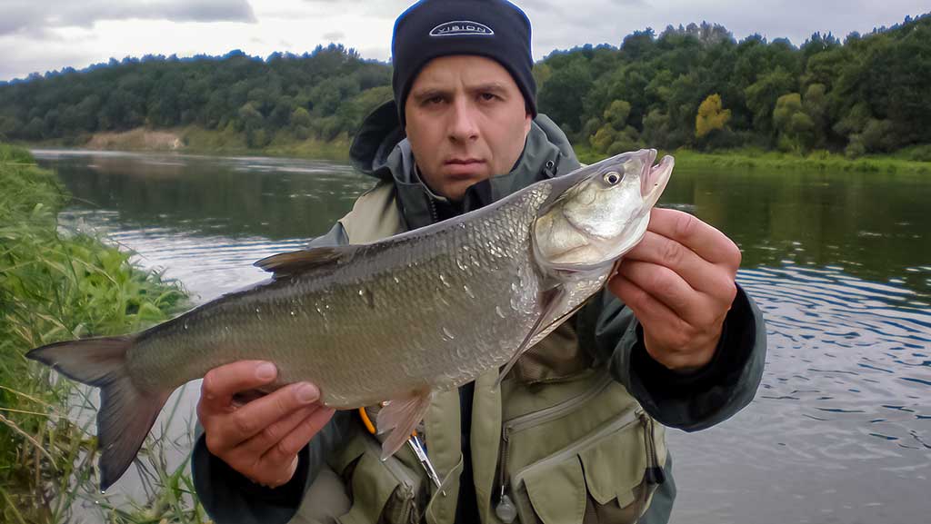 Dvi spiningavimo taktikos. Kai rankos atidirba už kojas Dvi spiningavimo taktikos. Kai rankos atidirba už kojas