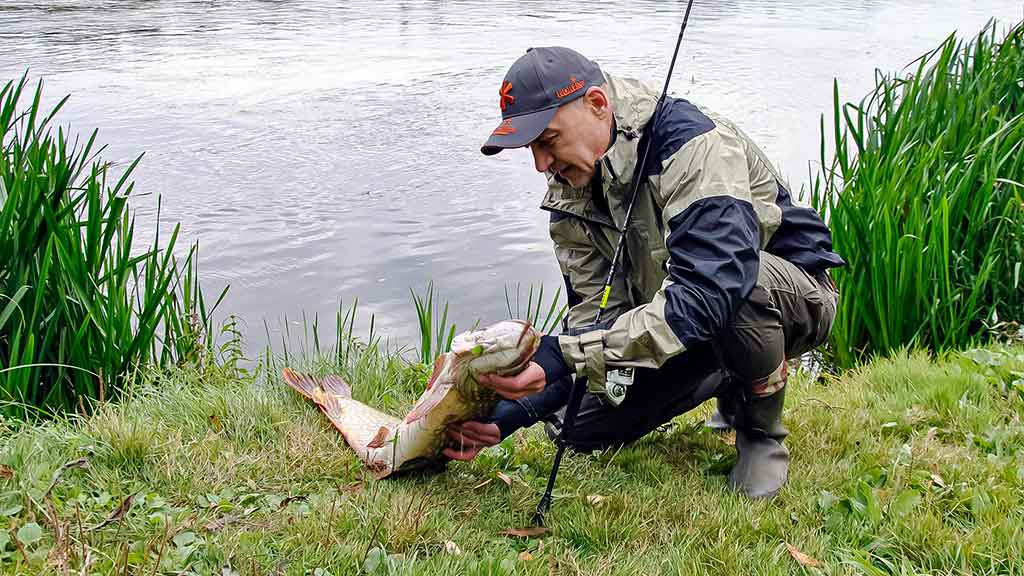 Lydekos, tvičingas ir dideli vobleriai. Techniniai niuansai, žūklavietės Lydekos, tvičingas ir dideli vobleriai. Techniniai niuansai, žūklavietės
