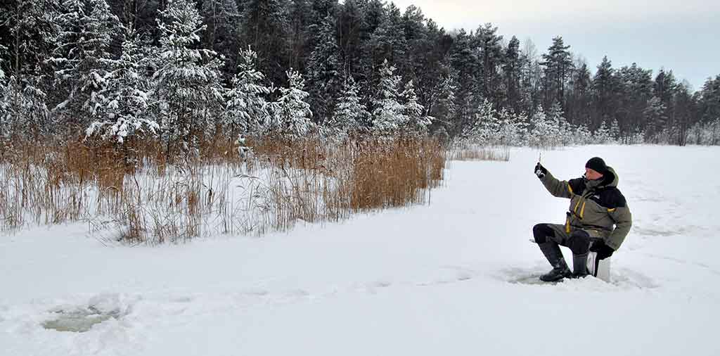Raudžių žūklė avižėlėmis Raudžių žūklė avižėlėmis