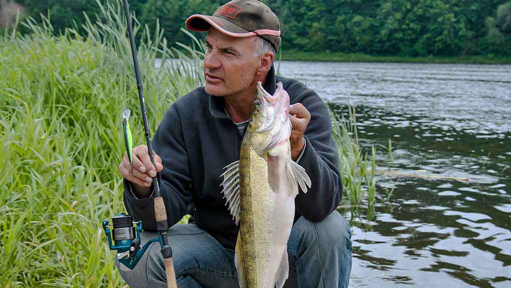 Kodėl kitiems kimba, o man – ne Kodėl kitiems kimba, o man – ne