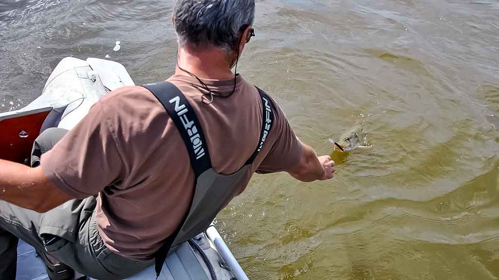 Žvejo aura. Pirma dalis Žvejo aura. Pirma dalis