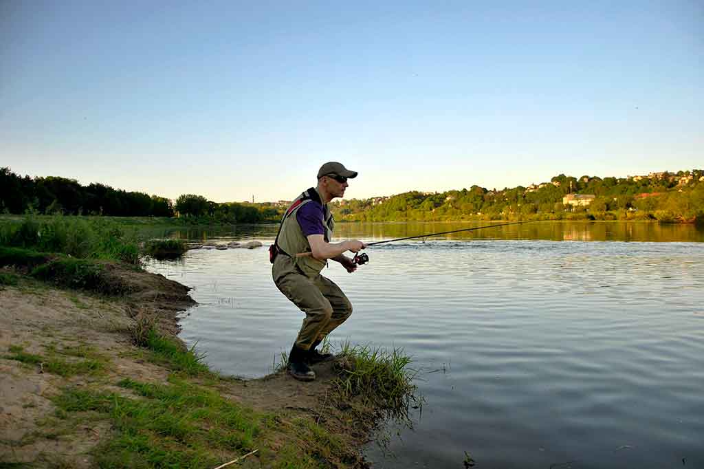 Apie šapalo pusseserę Apie šapalo pusseserę