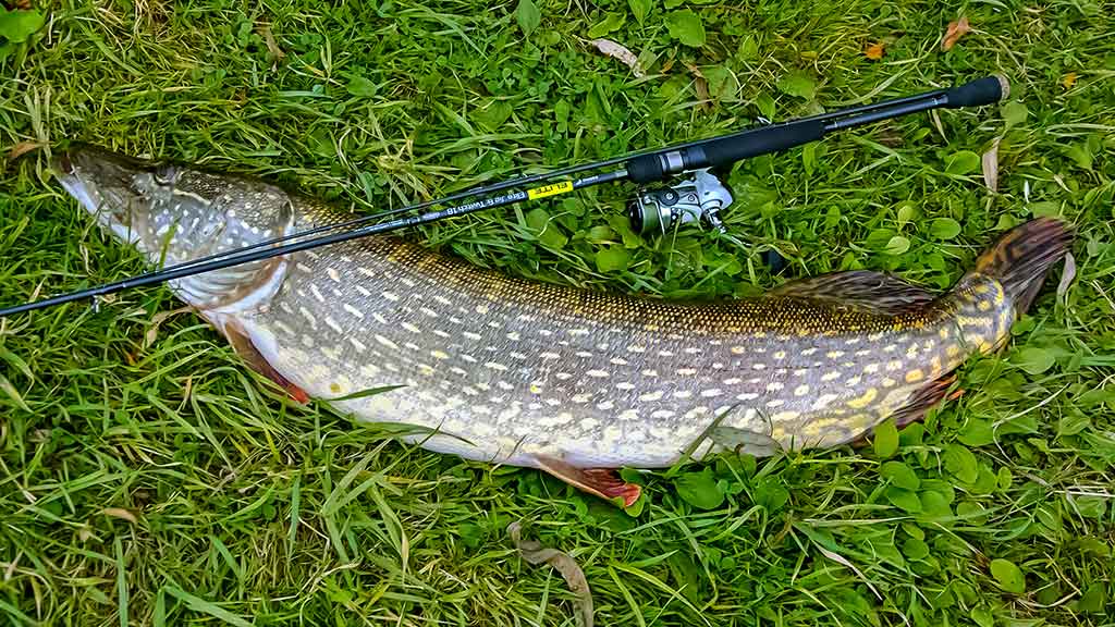 Lydekos, tvičingas ir dideli vobleriai. Kuo ypatingi šie masalai? Lydekos, tvičingas ir dideli vobleriai. Kuo ypatingi šie masalai?