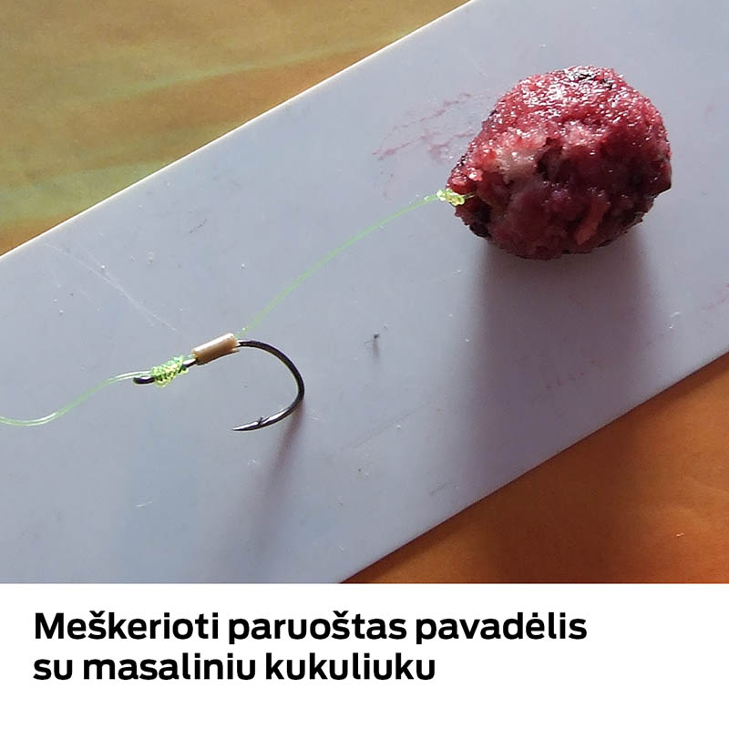 Meškerioti paruoštas pavadėlis su masaliniu kukuliuku Sistemos montavimas