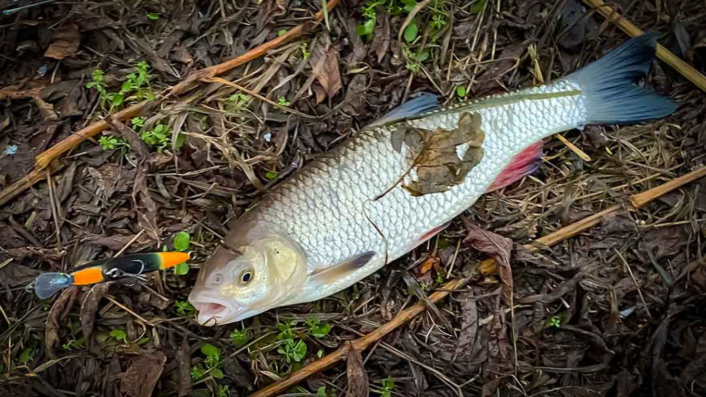 Šeštadienis, balandžio 22 – oji. Naktis prie Neries ir Nemuno Šeštadienis, balandžio 22 – oji. Naktis prie Neries ir Nemuno