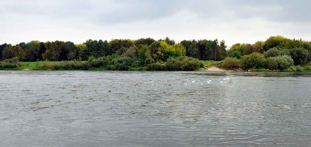 Bendrais bruožais apie salačiams skirtus masalus Bendrais bruožais apie salačiams skirtus masalus