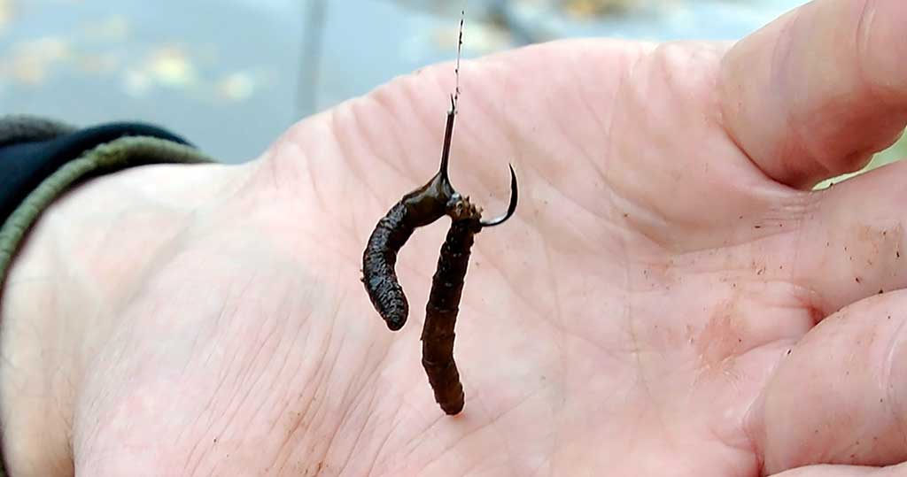 Kadangi „pindarakai“ yra juosvi arba beveik juodi, tai ir kabliukų spalva pritaikoma tokia, kad ne itin kontrastuotų su masalu Kadangi „pindarakai“ yra juosvi arba beveik juodi, tai ir kabliukų spalva pritaikoma tokia, kad ne itin kontrastuotų su masalu