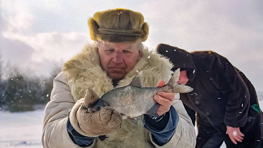 Viduržiemy su avižėle Viduržiemy su avižėle