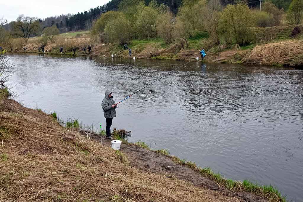 Vietos, kuriose geriausiai meškerioti žiobrius Vietos, kuriose geriausiai meškerioti žiobrius