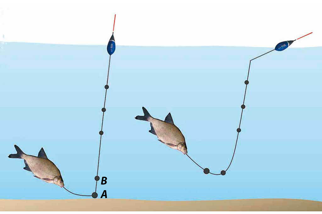 Karšius ežere – bolonine meškere Karšius ežere – bolonine meškere