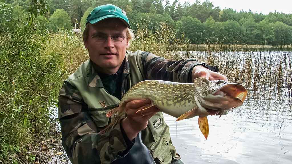 Kodėl kitiems kimba, o man – ne Kodėl kitiems kimba, o man – ne
