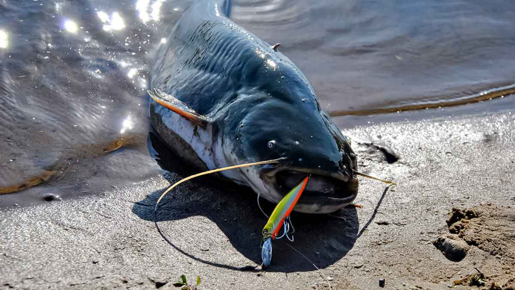 Dvi spiningavimo taktikos. Kai rankos atidirba už kojas Dvi spiningavimo taktikos. Kai rankos atidirba už kojas
