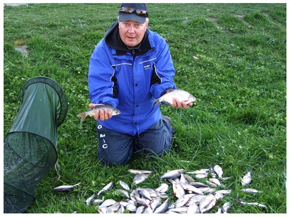 Žuvų kibimas migracijų metu toks aktyvus, kad dažnai užkimba iškart po du egzempliorius Žuvų kibimas migracijų metu toks aktyvus, kad dažnai užkimba iškart po du egzempliorius