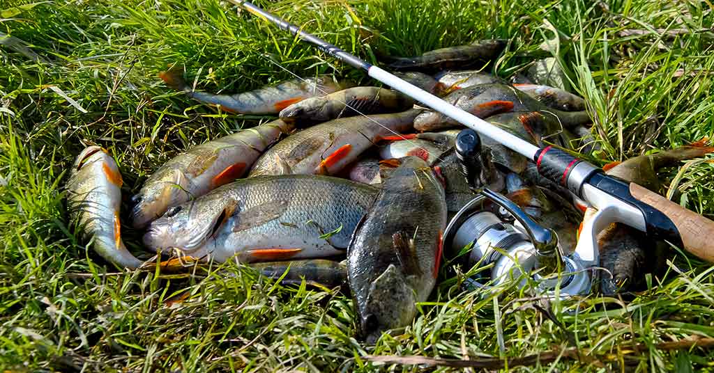 Idealaus įrankio beieškant. Spiningas Idealaus įrankio beieškant. Spiningas