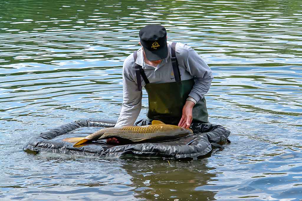 Karpių gaudymo vingrybės. Jaukai, masalai, kvapai Karpių gaudymo vingrybės. Jaukai, masalai, kvapai