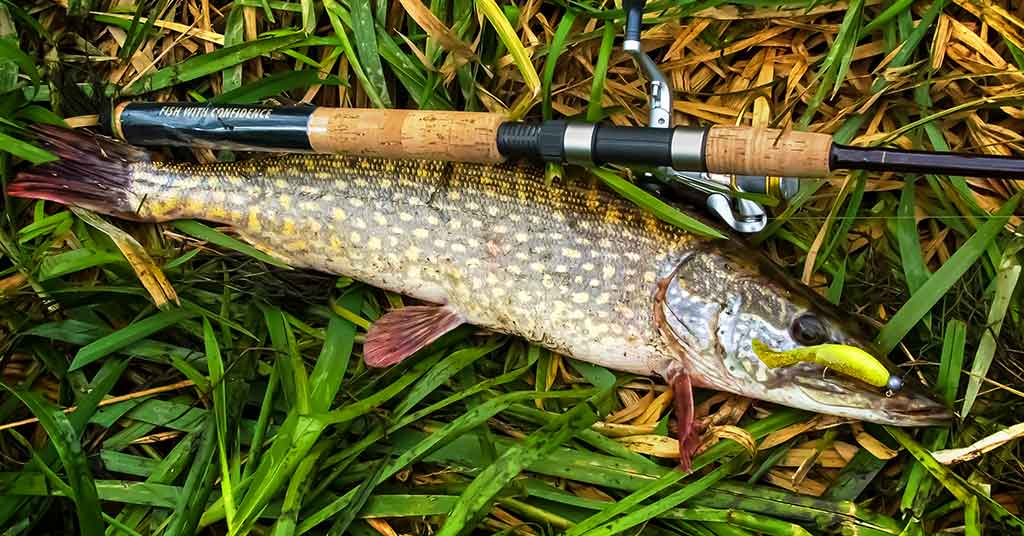 Pats paprasčiausias pavasarinės lydekos gundymas Pats paprasčiausias pavasarinės lydekos gundymas