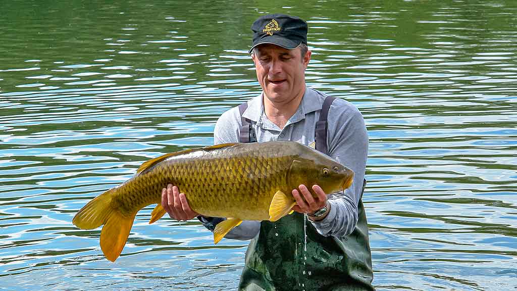 Karpių gaudymo vingrybės. Įranga ir sistemėlės Karpių gaudymo vingrybės. Įranga ir sistemėlės