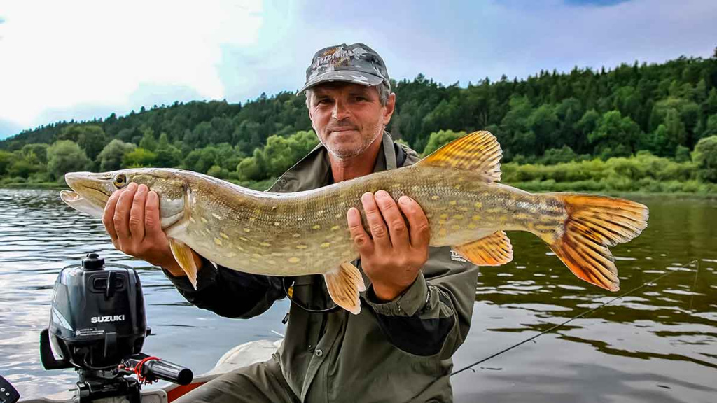 Žvejo aura. Pirma dalis Žvejo aura. Pirma dalis