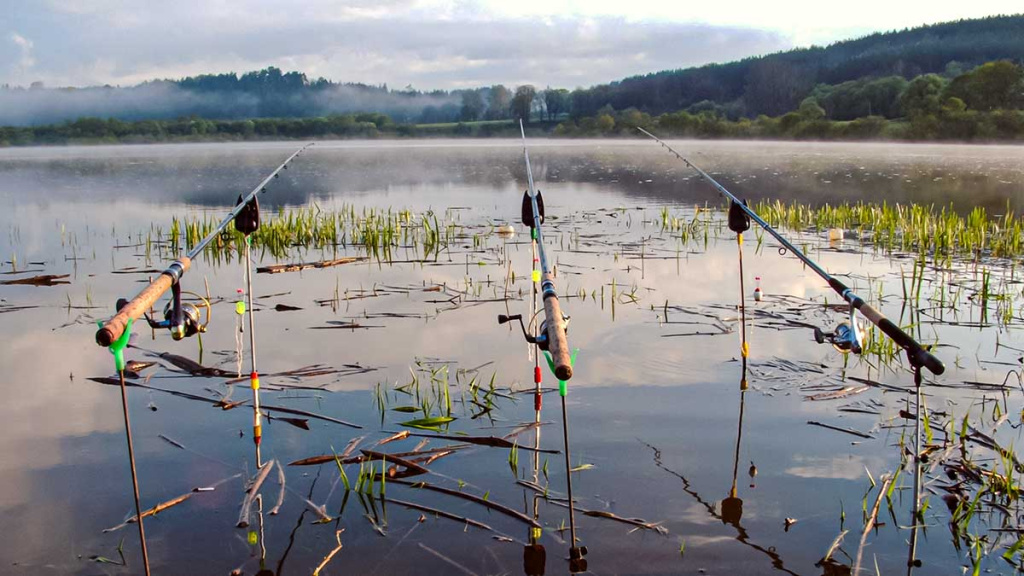 Dugninė. Karklo šaka ar specialus stovelis? Antra dalis Dugninė. Karklo šaka ar specialus stovelis? Antra dalis