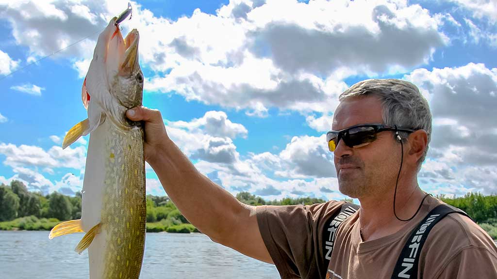 Žvejo aura. Antra dalis Žvejo aura. Antra dalis