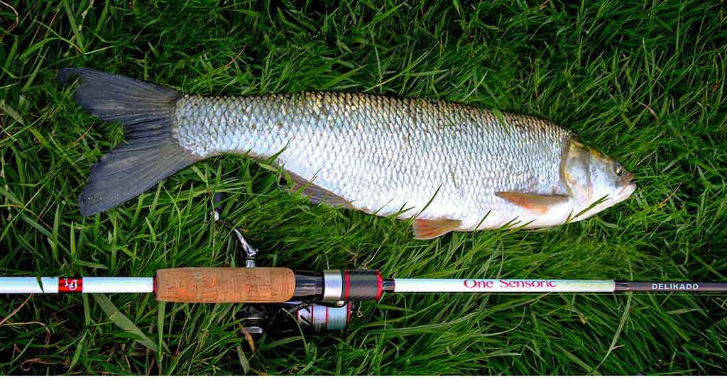 Idealaus įrankio beieškant. Spiningas Idealaus įrankio beieškant. Spiningas