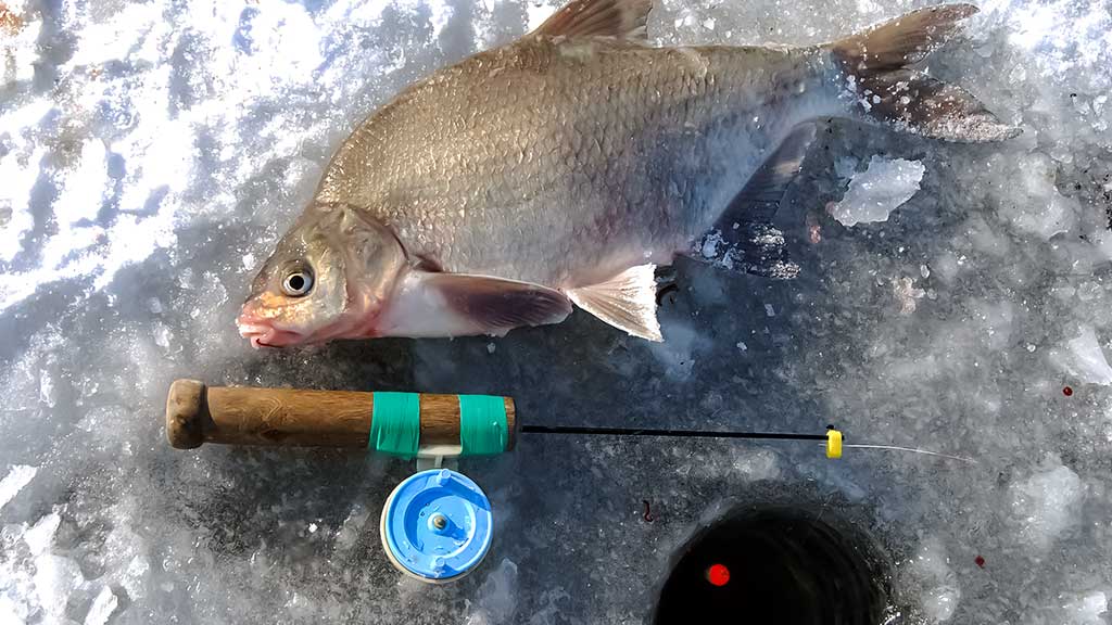 Kuršmarėse kimba ne vien stintos. Antra dalis Kuršmarėse kimba ne vien stintos. Antra dalis