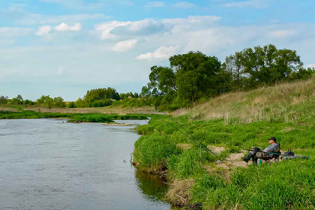 Pavasarinis žuvų „virsmas“ Pavasarinis žuvų „virsmas“