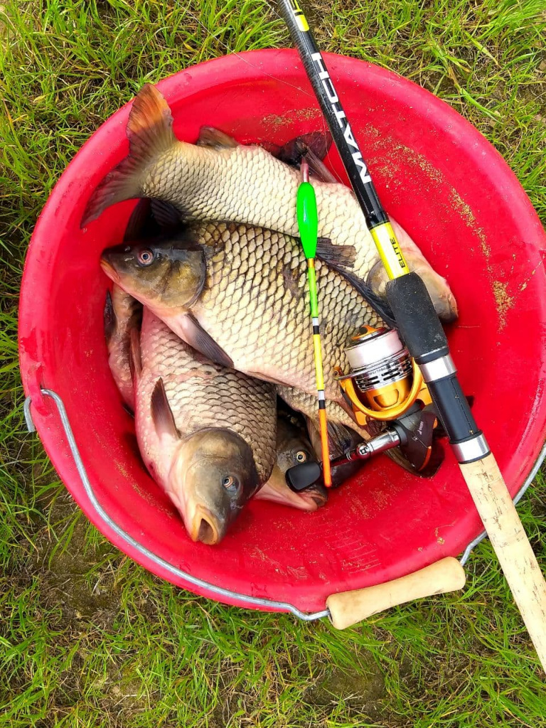 Salmo Elite Match 15 4.5 m Salmo Elite Match 15 4.5 m