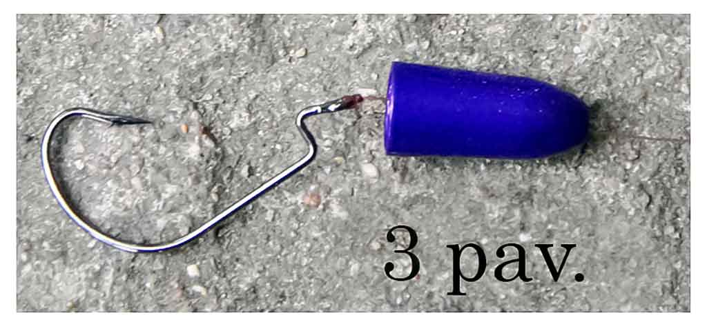 Carolina Rig Carolina Rig