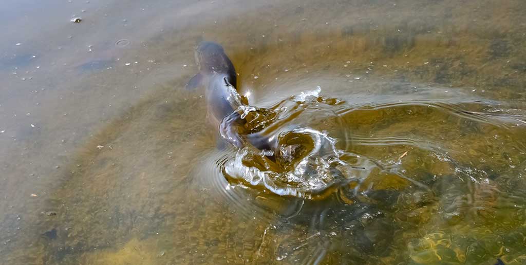 Jei oras tarsi lapkričio pabaigoje Jei oras tarsi lapkričio pabaigoje