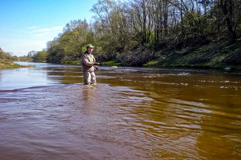 Srovė ir žuvys Srovė ir žuvys