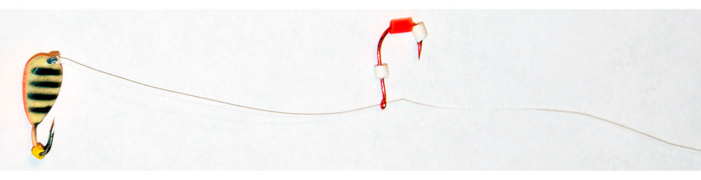 Vilioklis vangioms žuvims Vilioklis vangioms žuvims