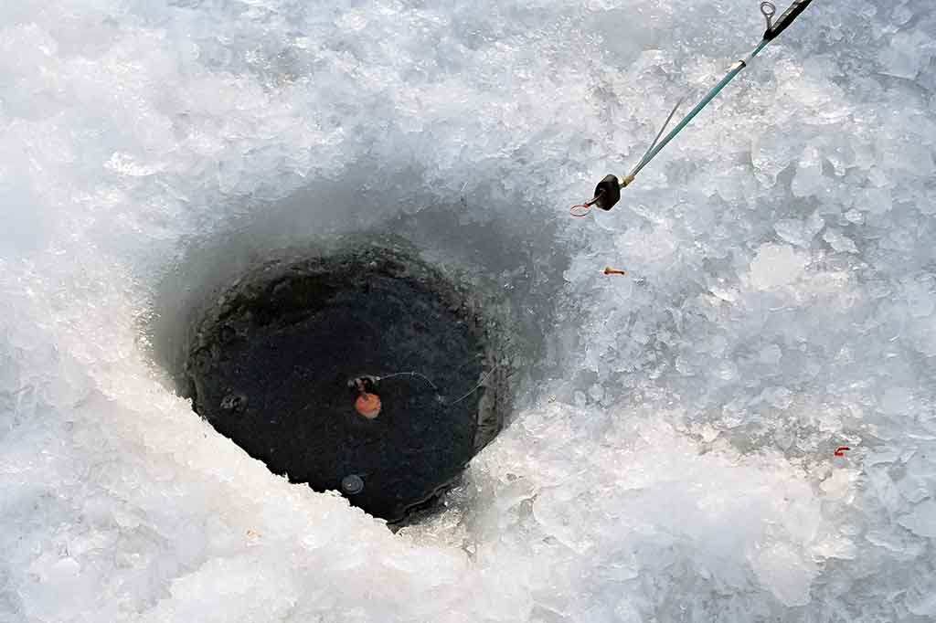 Išsamiai apie poledinę karosų žūklę Išsamiai apie poledinę karosų žūklę