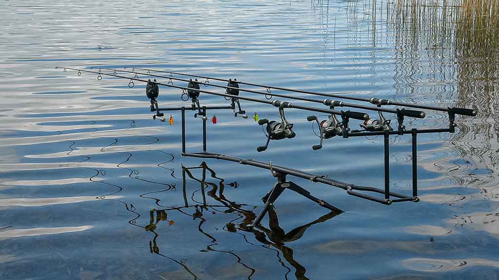 Kaip pagauti Nemune karpį. Masalų ir žūklaviečių paieškos Kaip pagauti Nemune karpį. Masalų ir žūklaviečių paieškos