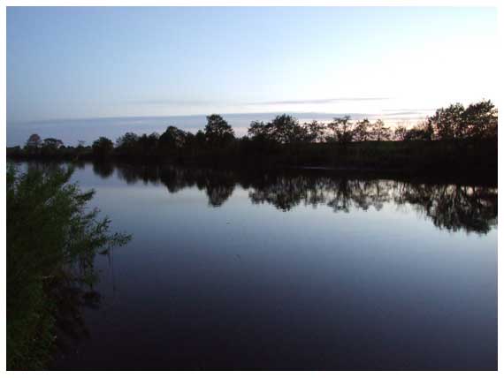 Kai dangų apgaubia sutemos, žuvys, ypač karpinės, traukia arčiau kranto ir aktyviai priekrantės zonoje ieško maisto Kai dangų apgaubia sutemos, žuvys, ypač karpinės, traukia arčiau kranto ir aktyviai priekrantės zonoje ieško maisto