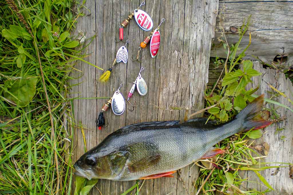 Kaip sukriukę nusviesti iki kito kranto. Pirma dalis Kaip sukriukę nusviesti iki kito kranto. Pirma dalis