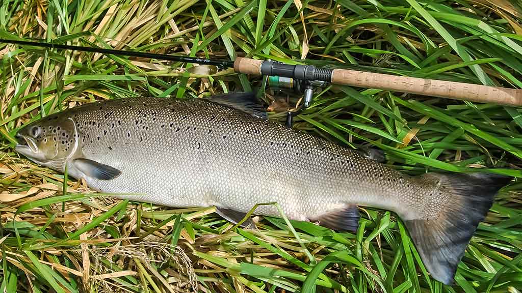 Išsamiai apie Aukštaitijos Šventąją Išsamiai apie Aukštaitijos Šventąją