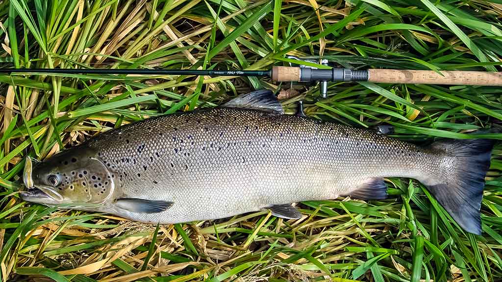 Kur, kaip ir kuo gaudome lašišas bei šlakius. IV dalis Kur, kaip ir kuo gaudome lašišas bei šlakius. IV dalis