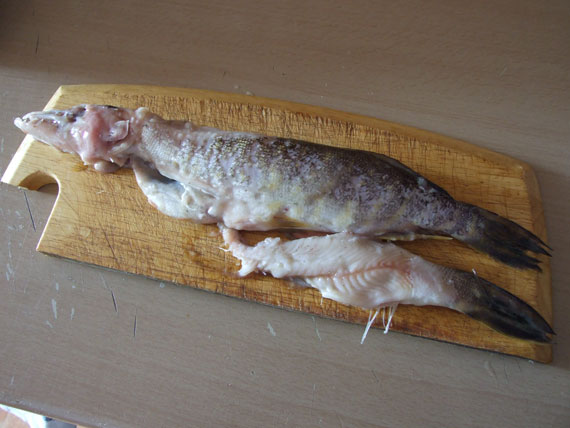 Šios apvirškintos maždaug 400 ir 300 g lydekaitės buvo išimtos iš 3,8 kg svėrusios lydekos, kuri buvo sugauta Alantos tvenkinyje, skrandžio Šios apvirškintos maždaug 400 ir 300 g lydekaitės buvo išimtos iš 3,8 kg svėrusios lydekos, kuri buvo sugauta Alantos tvenkinyje, skrandžio