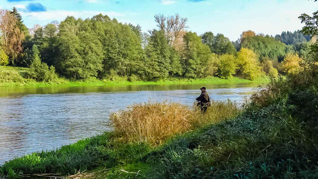 Nemunas nuo Merkinės iki Alytaus. Retai žvejų lankomos vietos Nemunas nuo Merkinės iki Alytaus. Retai žvejų lankomos vietos