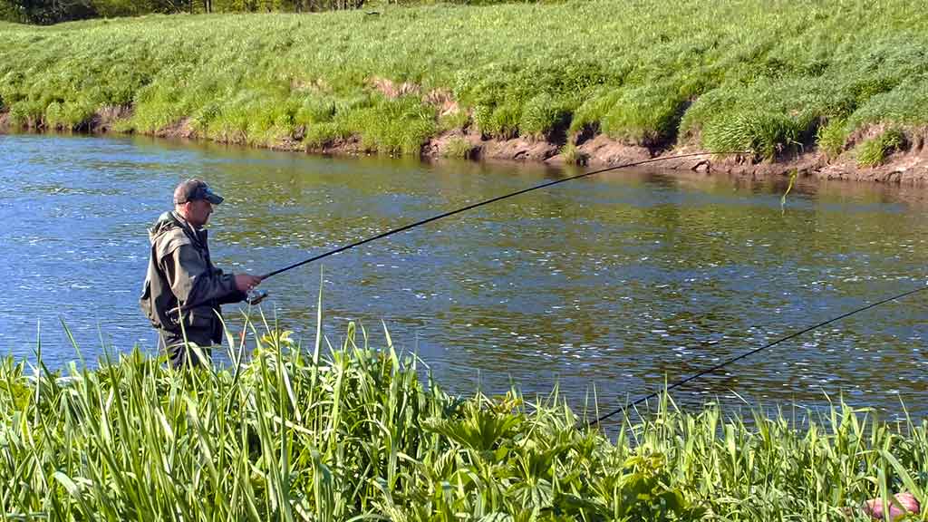 Plačiau apie viršūnėles ir šiek tiek apie dugnines. Antra dalis Plačiau apie viršūnėles ir šiek tiek apie dugnines. Antra dalis