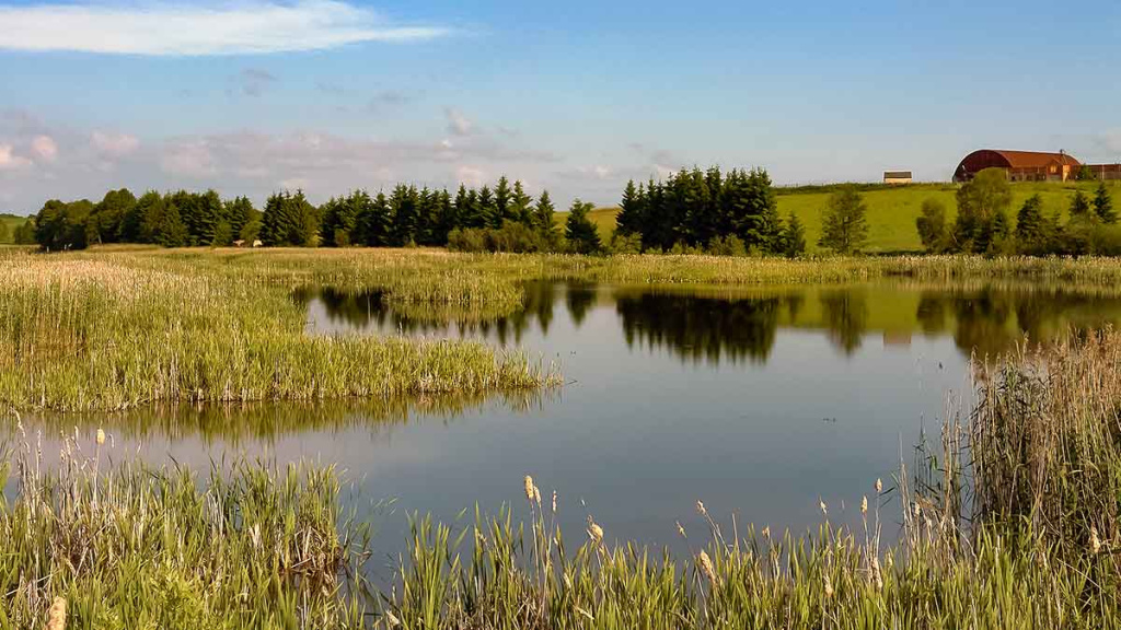 Kiekvienoje baloje savos taisyklės. Antra dalis Kiekvienoje baloje savos taisyklės. Antra dalis