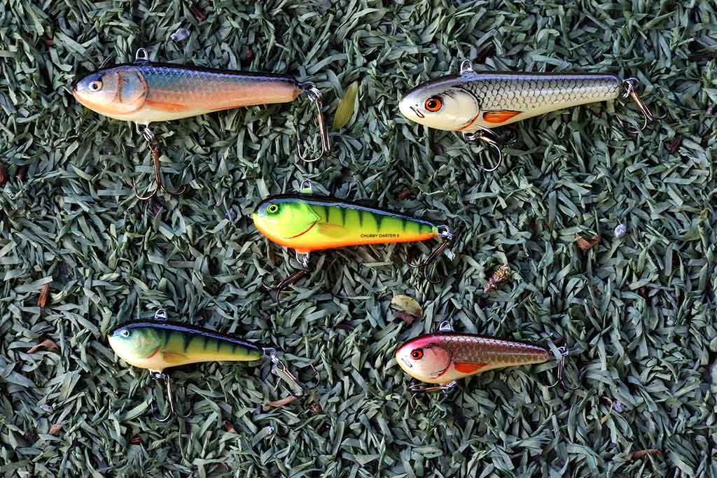 Salmo CHUBY DARTER vobleriai Salmo CHUBY DARTER vobleriai