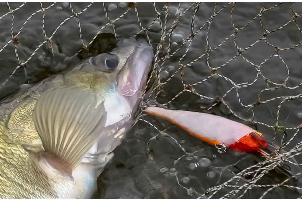 Voblerių dažymas. Ką dar galėčiau pasakyti... Voblerių dažymas. Ką dar galėčiau pasakyti...