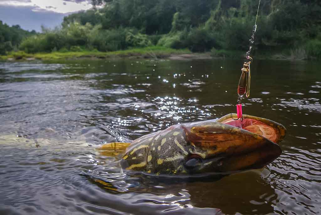 Kaip sukriukę nusviesti iki kito kranto. Pirma dalis Kaip sukriukę nusviesti iki kito kranto. Pirma dalis
