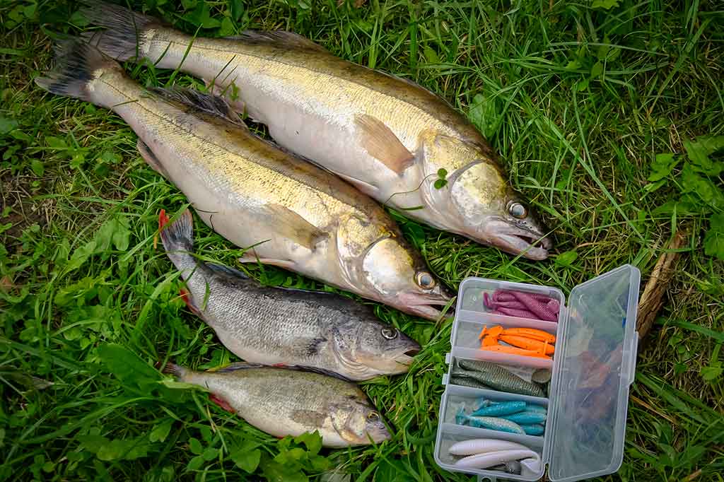 Plaukiančiųjų guminukų privalumai Plaukiančiųjų guminukų privalumai