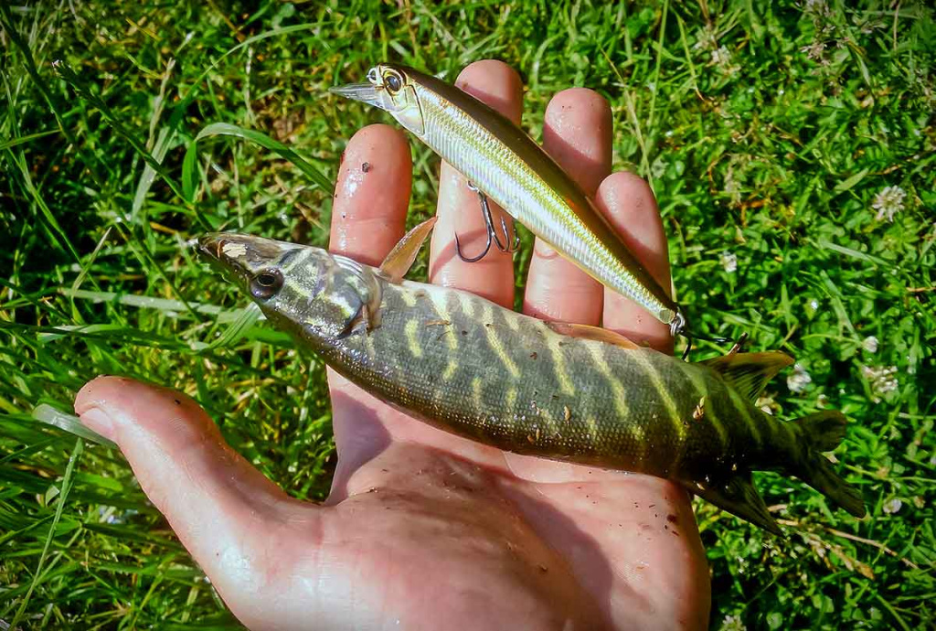 Ar sunku įsisavinti tvičingą? Pavadėliai ir cast tipo įranga Ar sunku įsisavinti tvičingą? Pavadėliai ir cast tipo įranga
