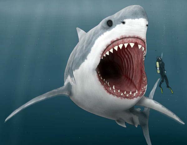 Megalodonas Megalodonas
