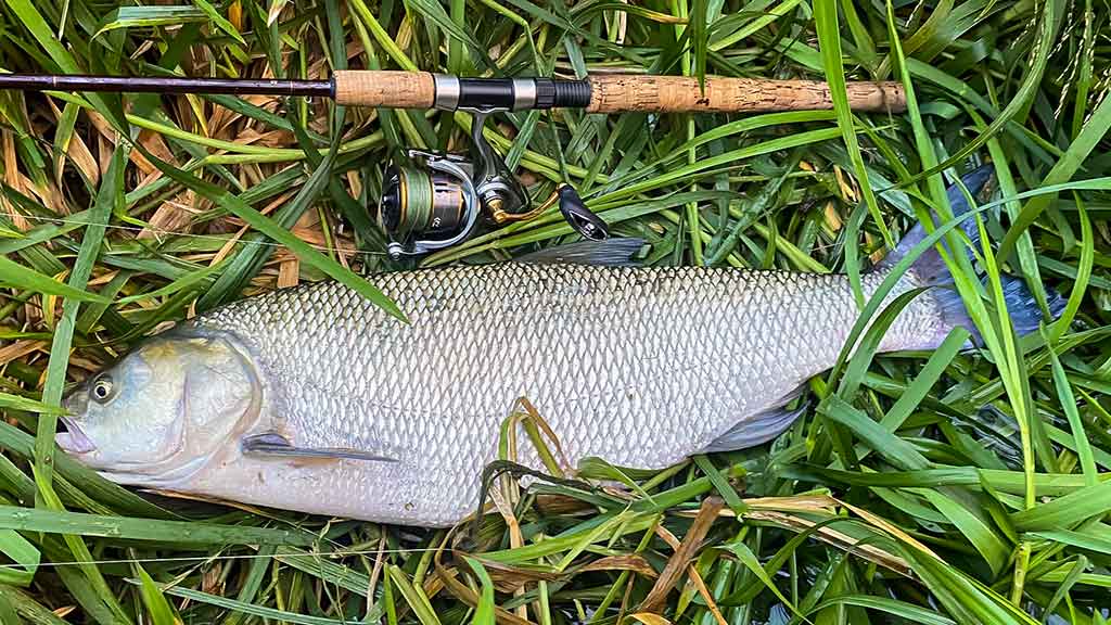 Kaip sukriukę nusviesti iki kito kranto. Pirma dalis Kaip sukriukę nusviesti iki kito kranto. Pirma dalis