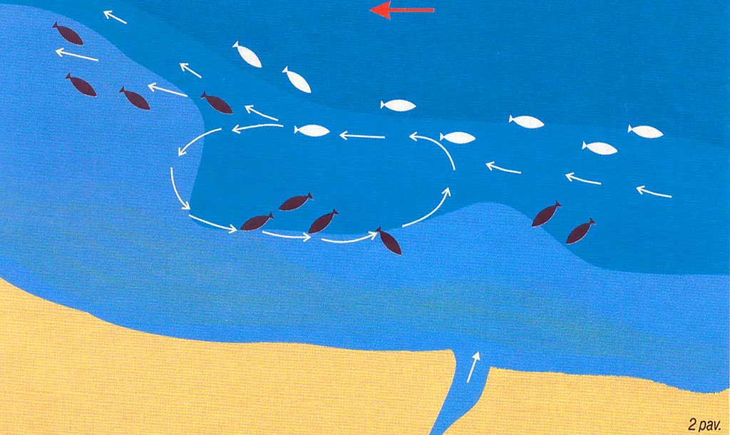 Nenuvertinkime kuojų žūklės. Nuolatinės ir laikinos žūklavietės Nenuvertinkime kuojų žūklės. Nuolatinės ir laikinos žūklavietės